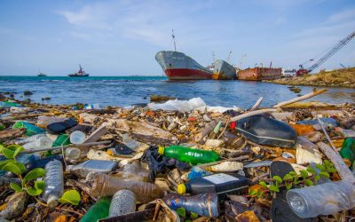 Inquinamento: l’impatto antropico sull’ambiente