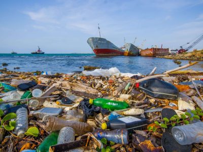 Inquinamento: l’impatto antropico sull’ambiente