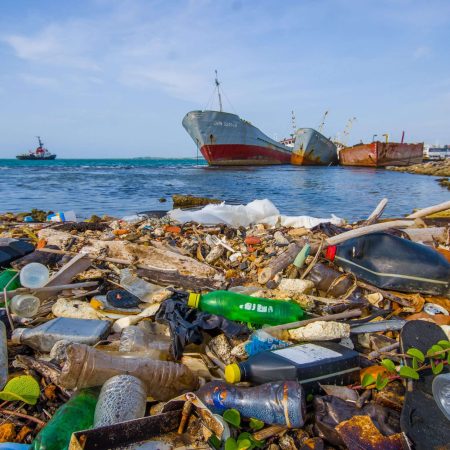 Inquinamento: l’impatto antropico sull’ambiente