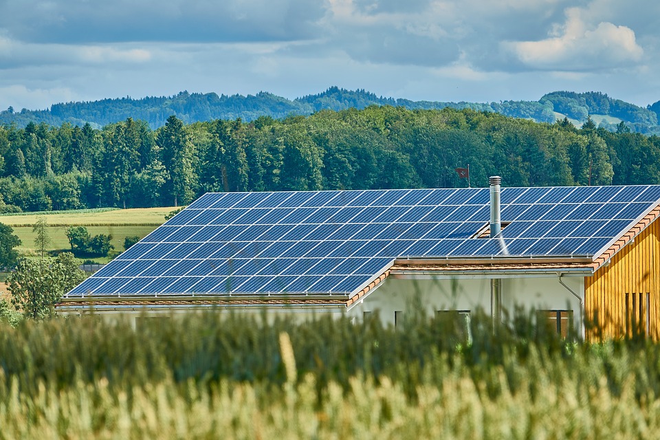 Rivoluzione verde e transizione ecologica per un futuro più Green.