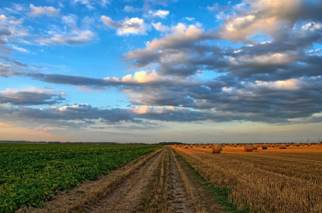 Clima e settore agroalimentare: nel 2050 previsto aumento della popolazione e delle necessità alimentari.