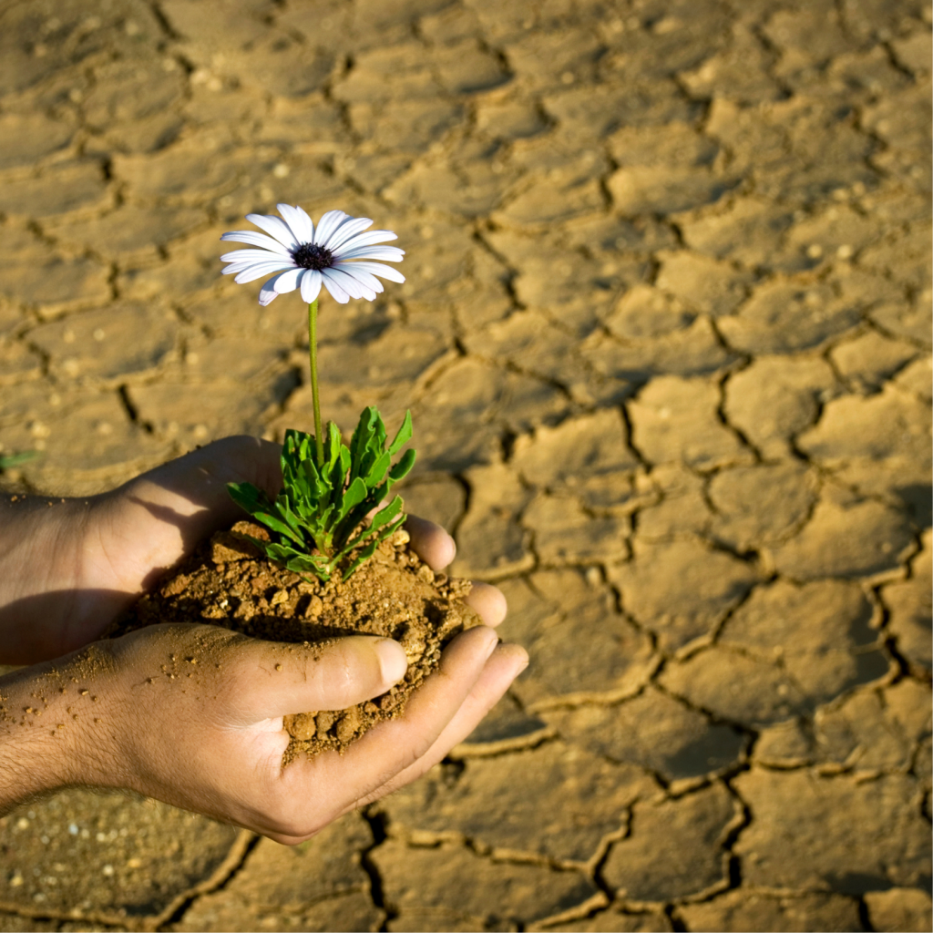 La crisi della biodiversità: la sesta estinzione di massa è cominciata