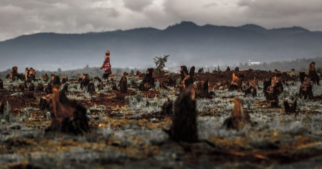 Desertificazione: l’allarme dell’Onu, al 2050 metà Terra potrebbe diventare arida.