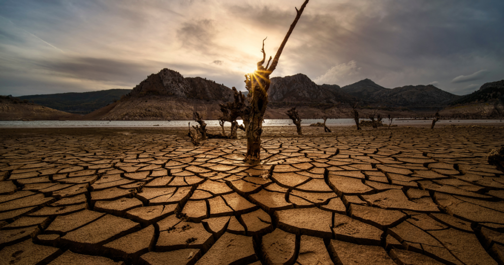 Cop27 di Sharm el-Sheikh: la conferenza delle speranze