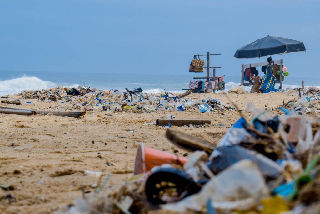 Etichettatura ambientale: il 2023 inizia con il piede giusto