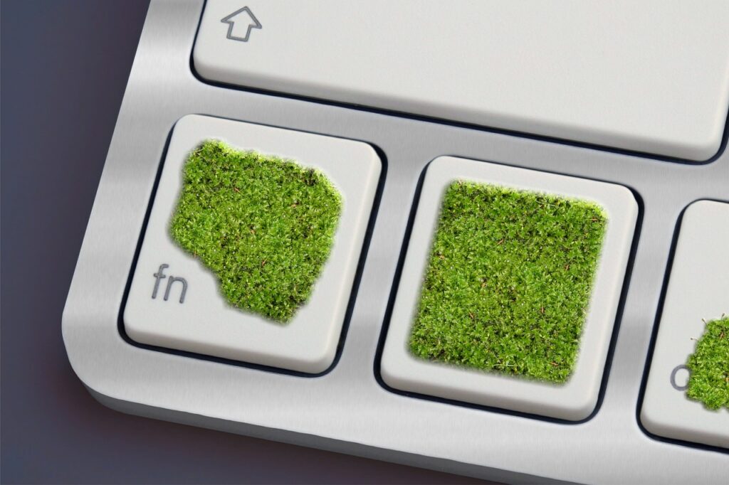 Green computing: la nuova consapevolezza dell’Informatica verde.