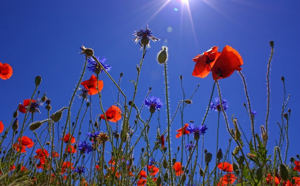 7 settembre. Giornata internazionale dell’aria pulita per i cieli blu.