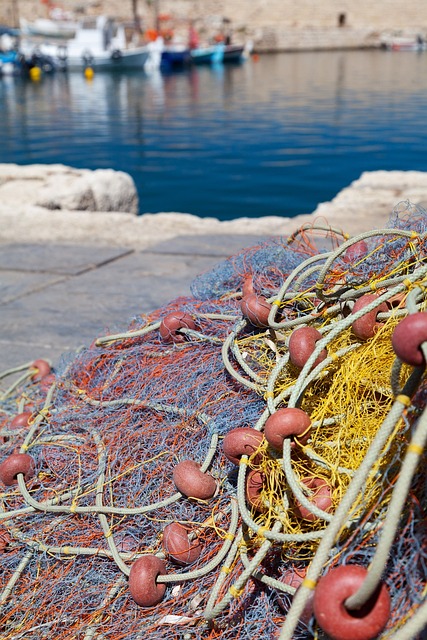 L’importanza della pesca sostenibile per l’ecosistema marino.