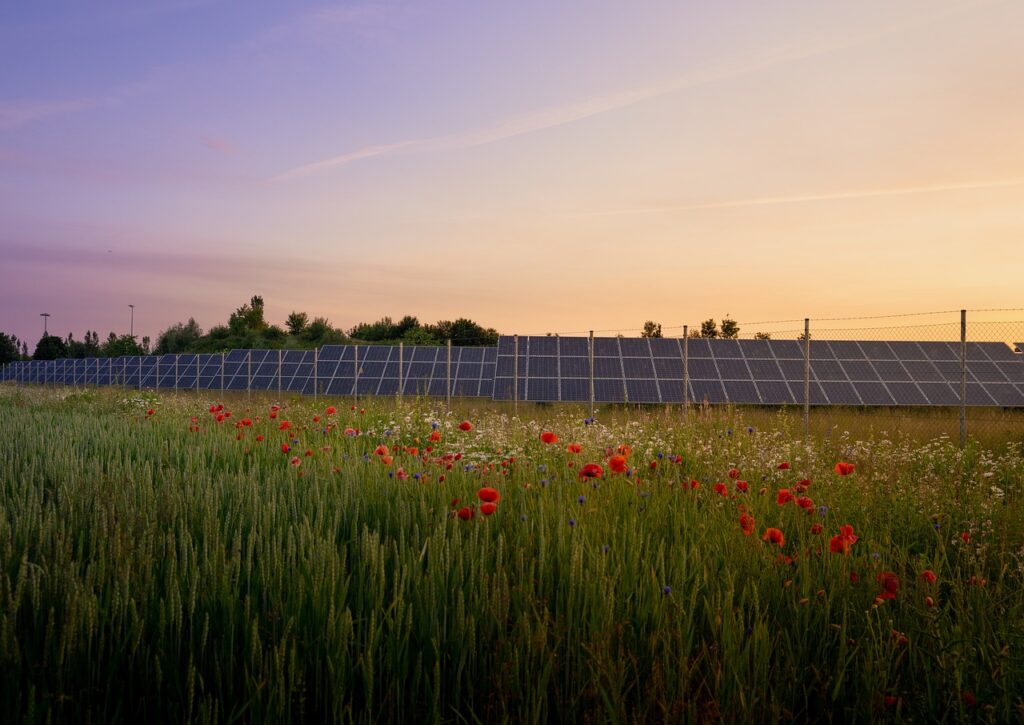 Agrivoltaico. Energia solare e agricoltura possono coesistere.